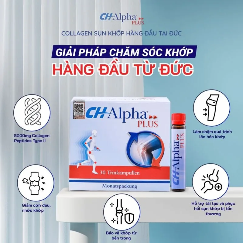 collagen sụn khớp CH-Alpha Plus