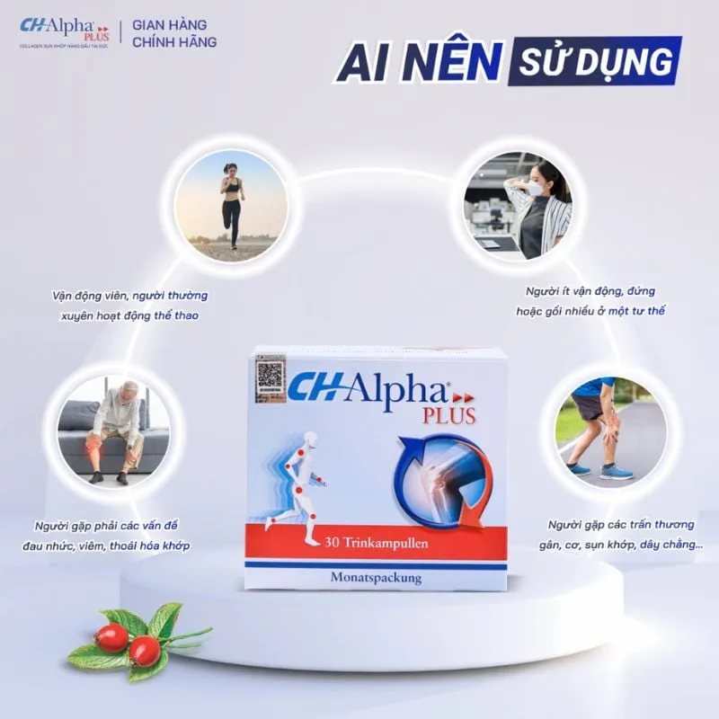 collagen sụn khớp CH-Alpha Plus
