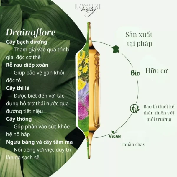 SUPERDIET DRAINAFLORE DETOX 5in1