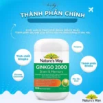 viên uống bổ não ginkgo