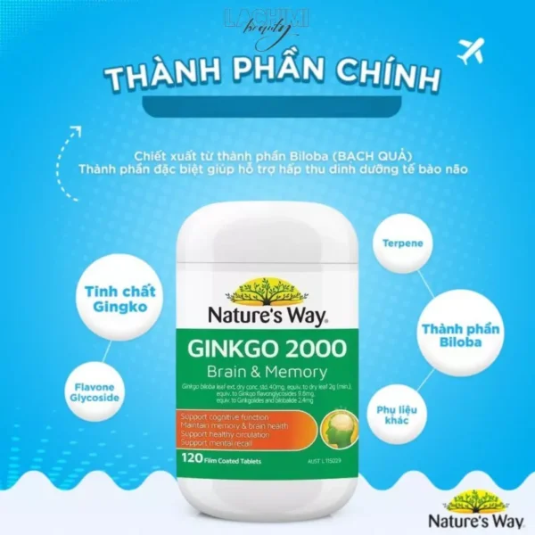 viên uống bổ não ginkgo