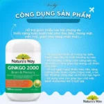 viên uống bổ não ginkgo
