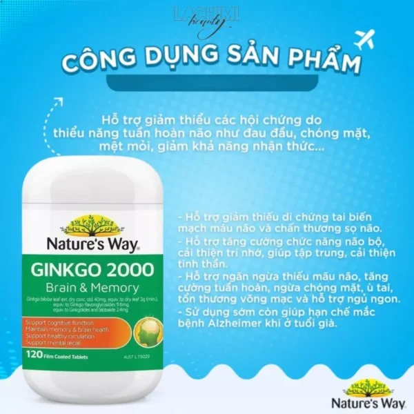 viên uống bổ não ginkgo