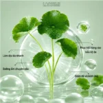 Cica-Skin Rescue Green Cream