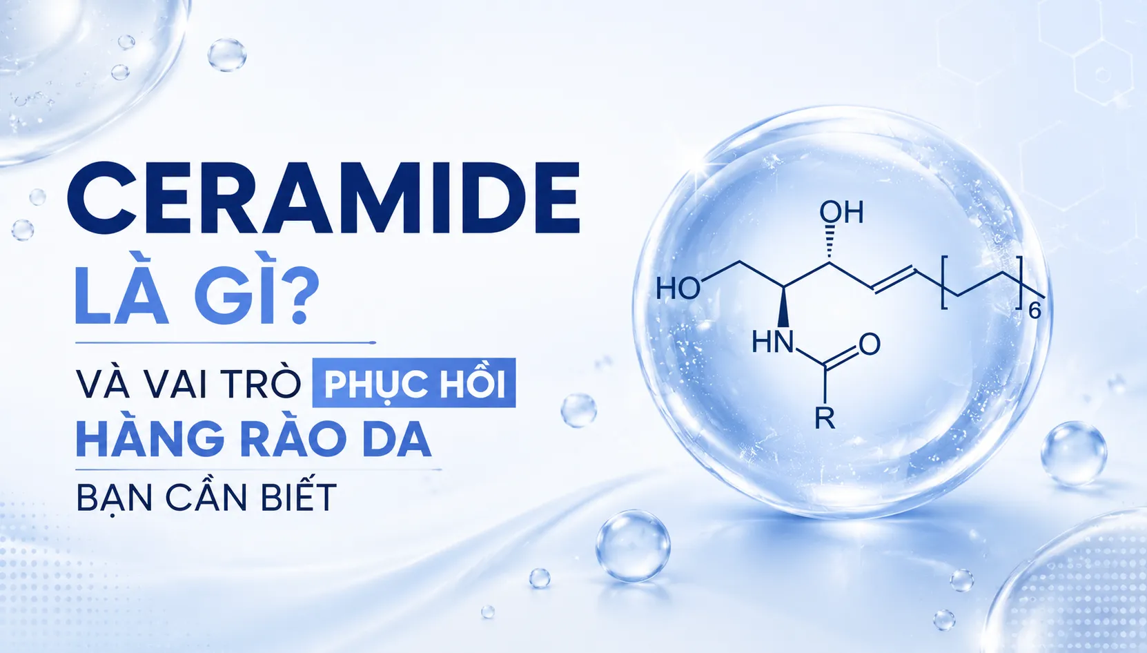 Ceramide Là Gì
