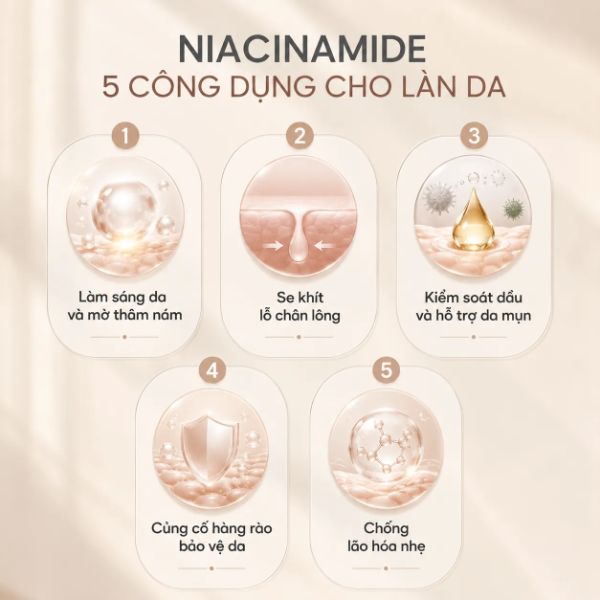 Công Dụng Của Niacinamide Với Da